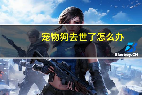 宠物狗去世了怎么办