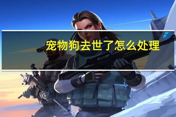 宠物狗去世了怎么处理