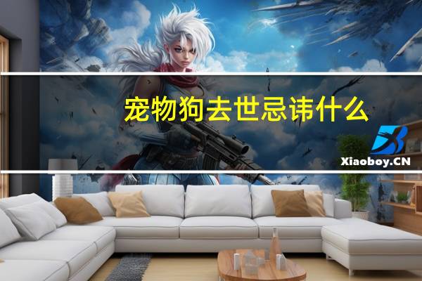 宠物狗去世忌讳什么