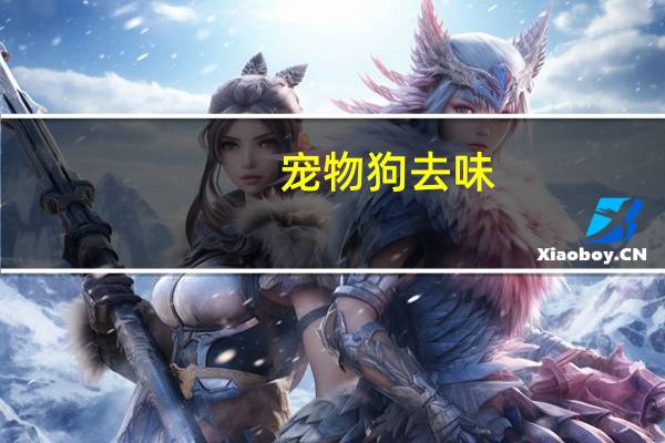 宠物狗去味