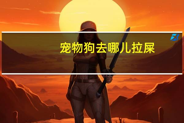 宠物狗去哪儿拉屎