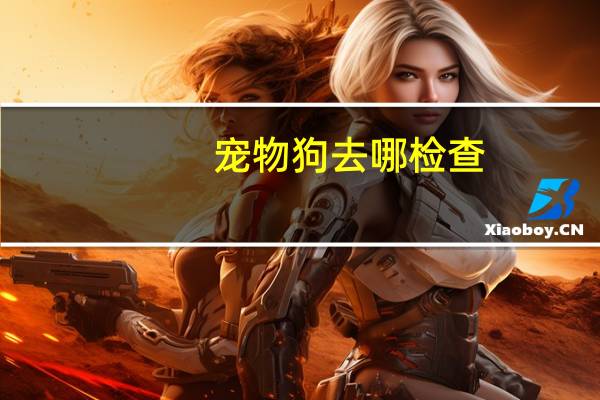 宠物狗去哪检查