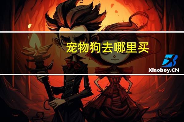 宠物狗去哪里买