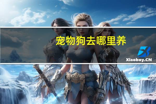 宠物狗去哪里养