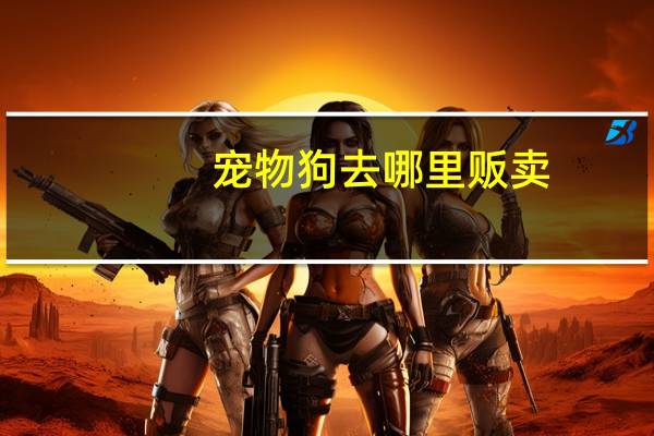 宠物狗去哪里贩卖