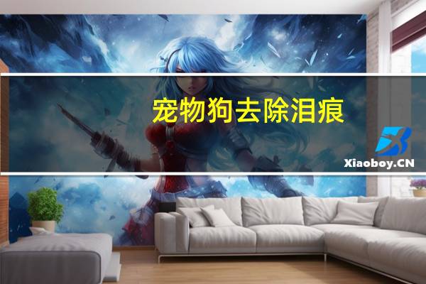 宠物狗去除泪痕