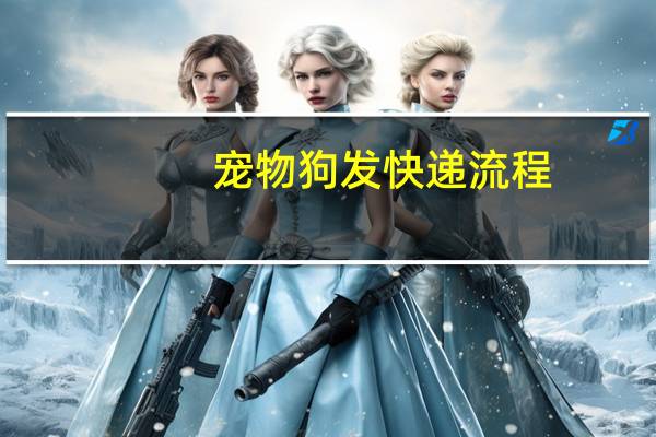 宠物狗发快递流程