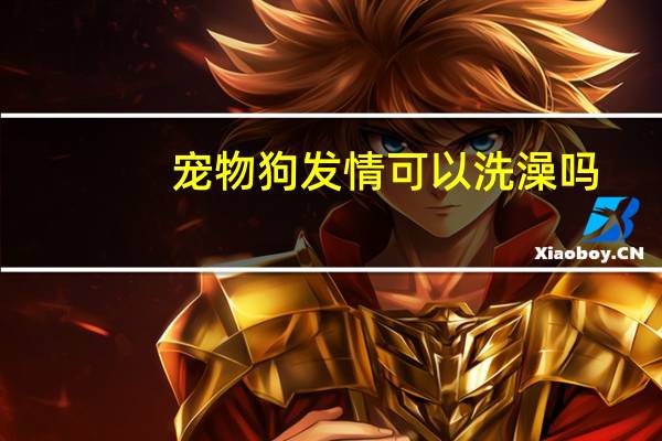 宠物狗发情可以洗澡吗
