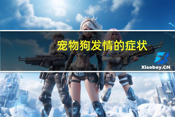 宠物狗发情的症状