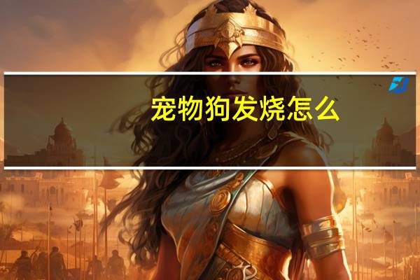 宠物狗发烧怎么