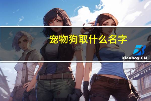 宠物狗取什么名字