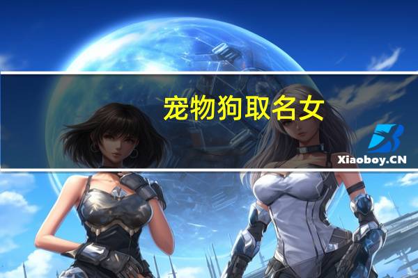 宠物狗取名女