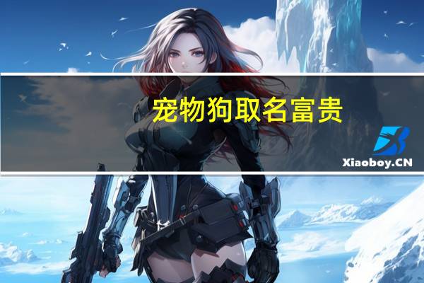 宠物狗取名富贵