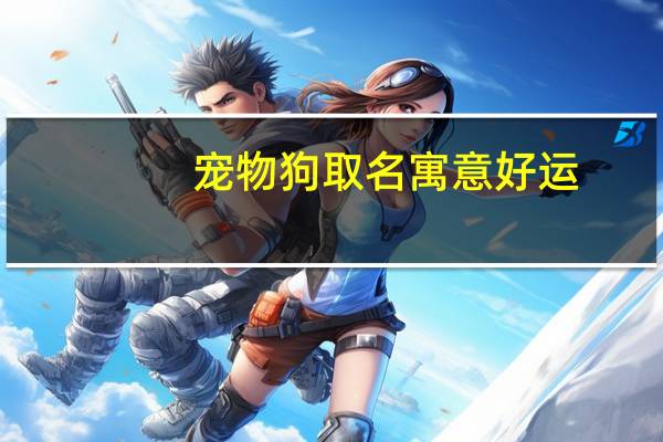 宠物狗取名寓意好运
