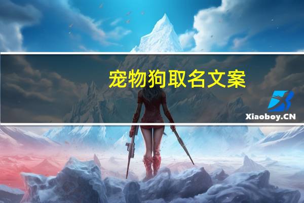 宠物狗取名文案