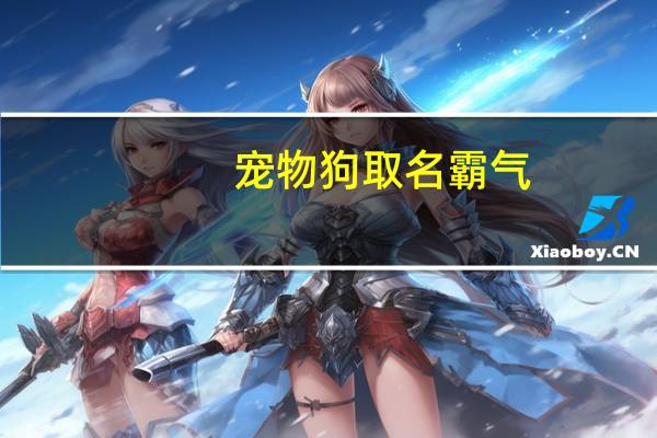 宠物狗取名霸气