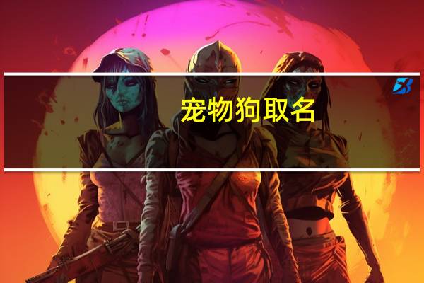 宠物狗取名