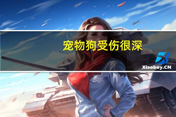宠物狗受伤很深