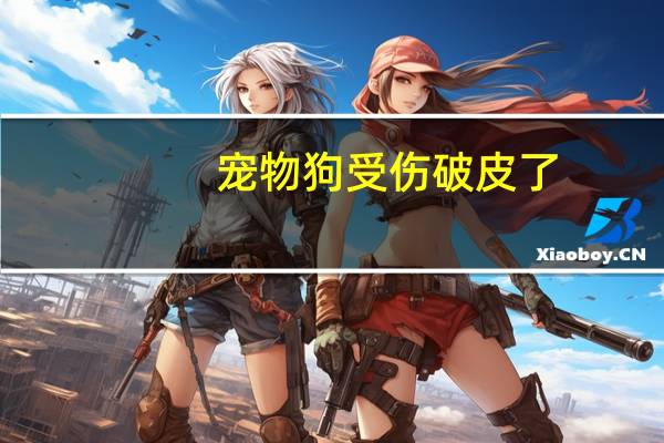 宠物狗受伤破皮了