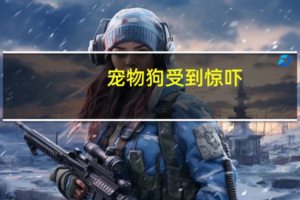 宠物狗受到惊吓