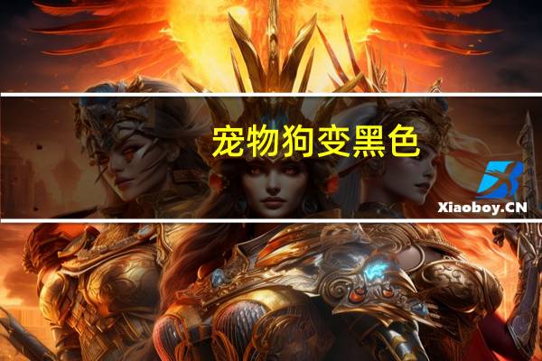 宠物狗变黑色
