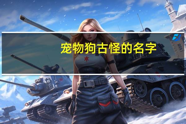 宠物狗古怪的名字