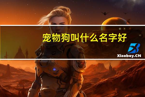 宠物狗叫什么名字好