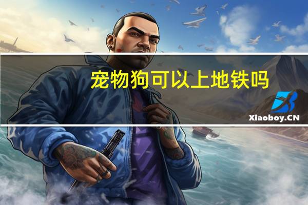 宠物狗可以上地铁吗