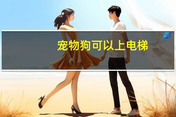 宠物狗可以上电梯