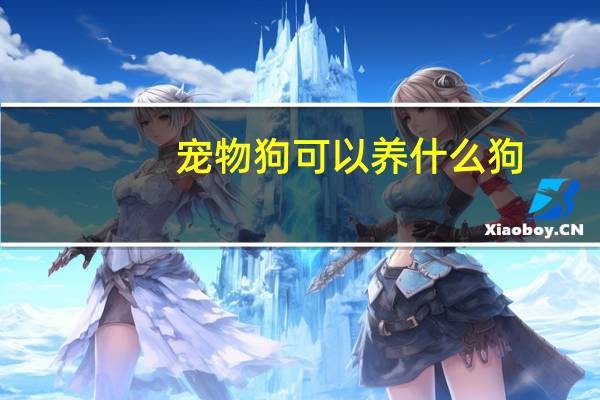 宠物狗可以养什么狗