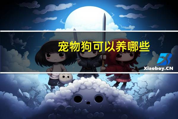 宠物狗可以养哪些