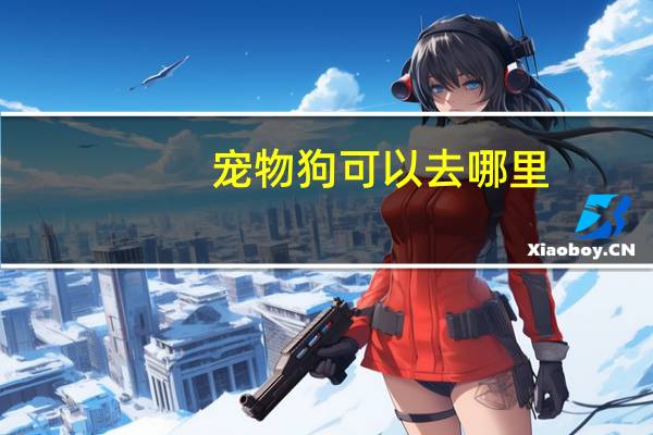 宠物狗可以去哪里