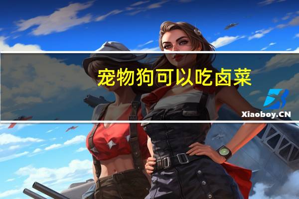 宠物狗可以吃卤菜