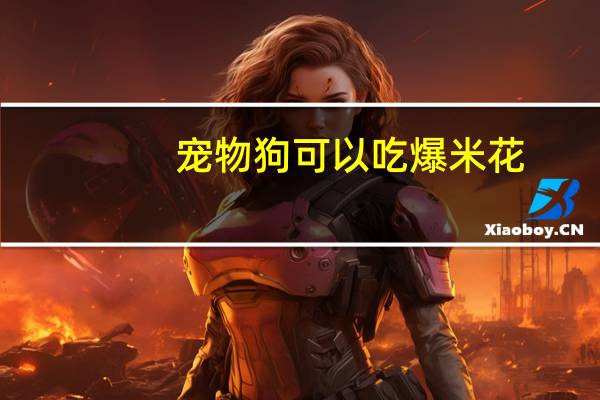 宠物狗可以吃爆米花