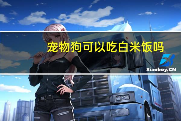宠物狗可以吃白米饭吗