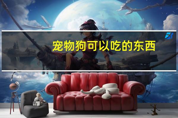 宠物狗可以吃的东西