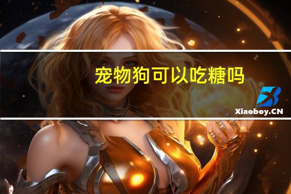 宠物狗可以吃糖吗