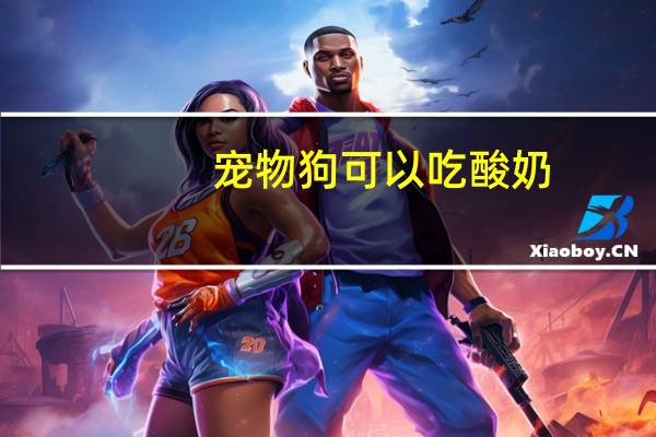 宠物狗可以吃酸奶