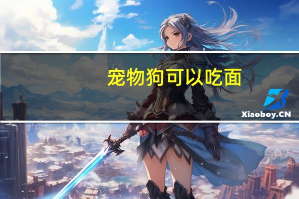 宠物狗可以吃面