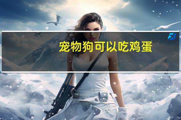 宠物狗可以吃鸡蛋