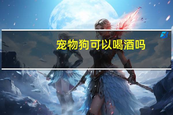宠物狗可以喝酒吗