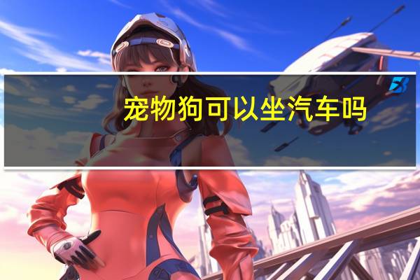 宠物狗可以坐汽车吗
