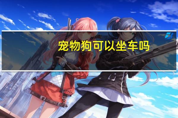 宠物狗可以坐车吗