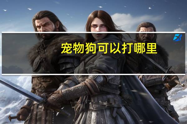宠物狗可以打哪里