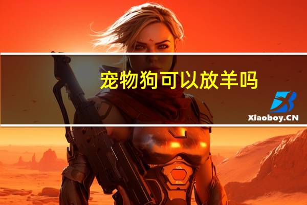 宠物狗可以放羊吗