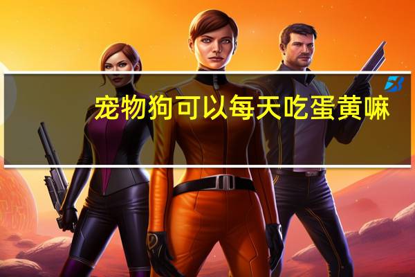 宠物狗可以每天吃蛋黄嘛