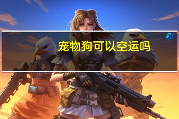 宠物狗可以空运吗