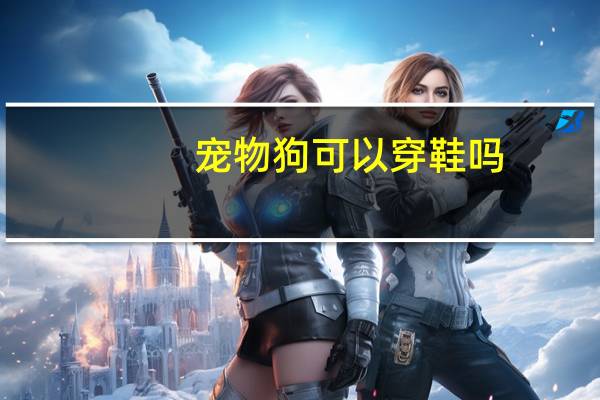 宠物狗可以穿鞋吗