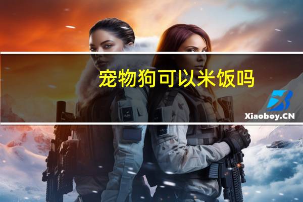 宠物狗可以米饭吗