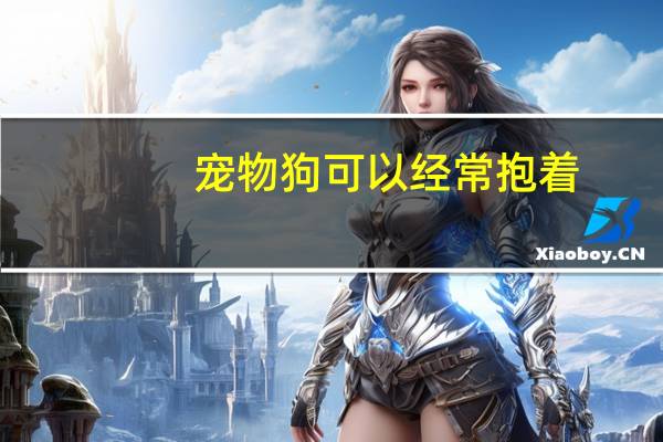 宠物狗可以经常抱着